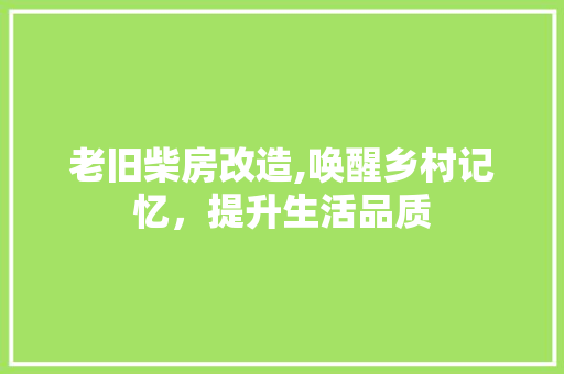 老旧柴房改造,唤醒乡村记忆，提升生活品质