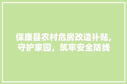 保康县农村危房改造补贴,守护家园，筑牢安全防线