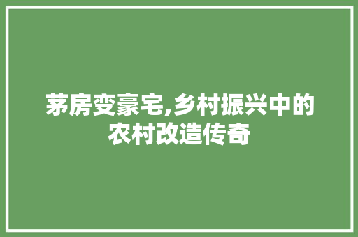 茅房变豪宅,乡村振兴中的农村改造传奇