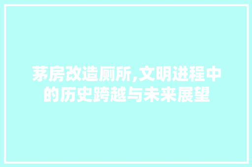 茅房改造厕所,文明进程中的历史跨越与未来展望