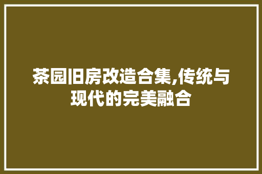 茶园旧房改造合集,传统与现代的完美融合