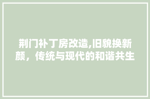 荆门补丁房改造,旧貌换新颜，传统与现代的和谐共生