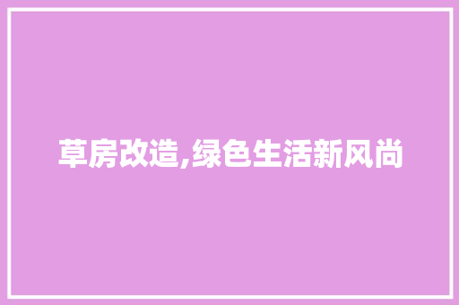 草房改造,绿色生活新风尚