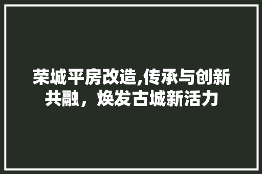 荣城平房改造,传承与创新共融，焕发古城新活力