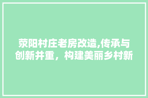 荥阳村庄老房改造,传承与创新并重，构建美丽乡村新格局