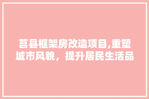 莒县框架房改造项目,重塑城市风貌，提升居民生活品质
