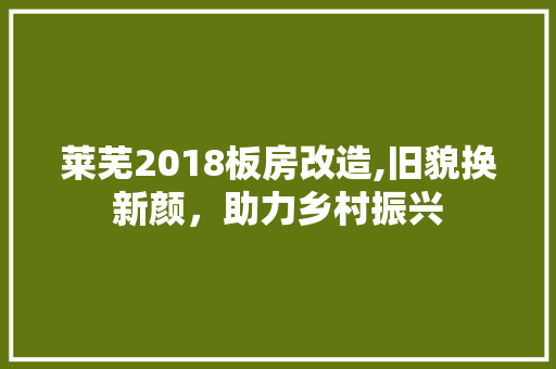 莱芜2018板房改造,旧貌换新颜，助力乡村振兴