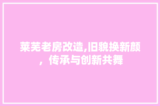 莱芜老房改造,旧貌换新颜，传承与创新共舞