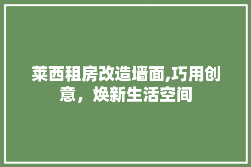 莱西租房改造墙面,巧用创意，焕新生活空间