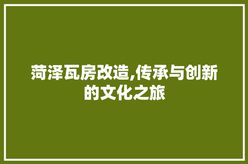 菏泽瓦房改造,传承与创新的文化之旅