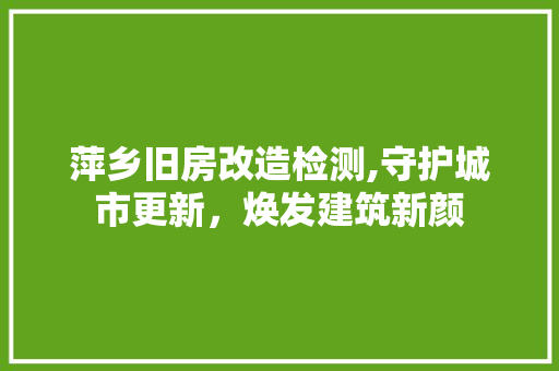 萍乡旧房改造检测,守护城市更新，焕发建筑新颜