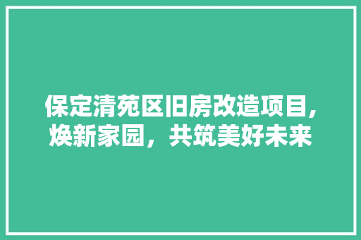 保定清苑区旧房改造项目,焕新家园，共筑美好未来