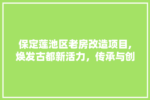 保定莲池区老房改造项目,焕发古都新活力，传承与创新共舞