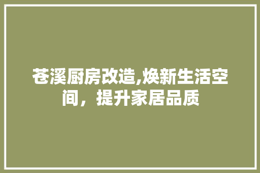 苍溪厨房改造,焕新生活空间，提升家居品质