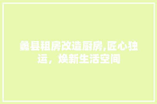 蠡县租房改造厨房,匠心独运，焕新生活空间