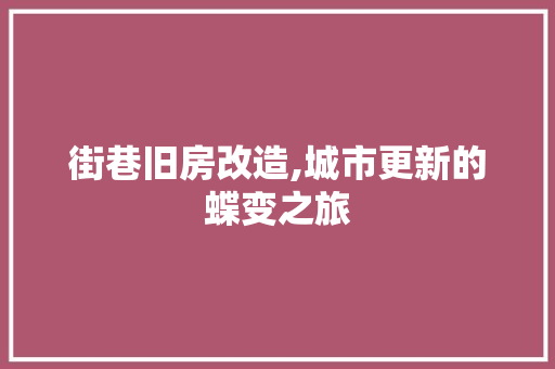 街巷旧房改造,城市更新的蝶变之旅