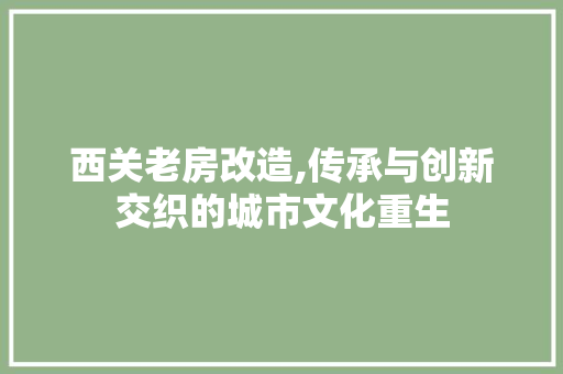 西关老房改造,传承与创新交织的城市文化重生