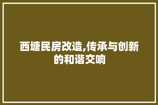 西塘民房改造,传承与创新的和谐交响