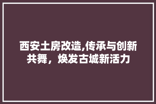 西安土房改造,传承与创新共舞，焕发古城新活力