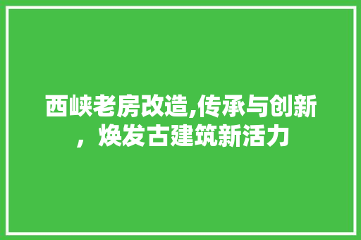 西峡老房改造,传承与创新，焕发古建筑新活力