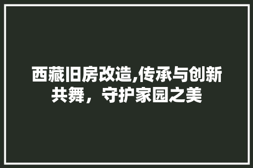 西藏旧房改造,传承与创新共舞，守护家园之美