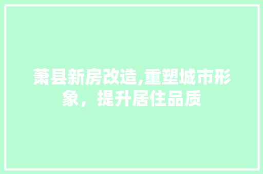 萧县新房改造,重塑城市形象，提升居住品质
