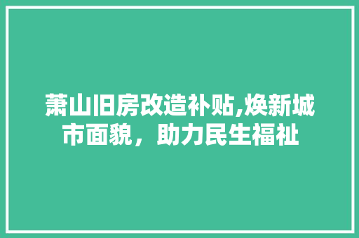 萧山旧房改造补贴,焕新城市面貌，助力民生福祉