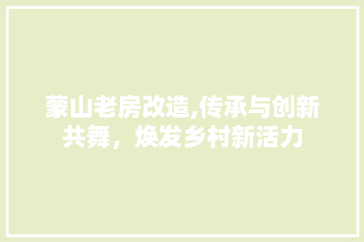 蒙山老房改造,传承与创新共舞，焕发乡村新活力