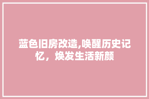 蓝色旧房改造,唤醒历史记忆，焕发生活新颜