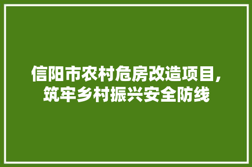 信阳市农村危房改造项目,筑牢乡村振兴安全防线