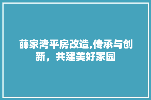 薛家湾平房改造,传承与创新，共建美好家园