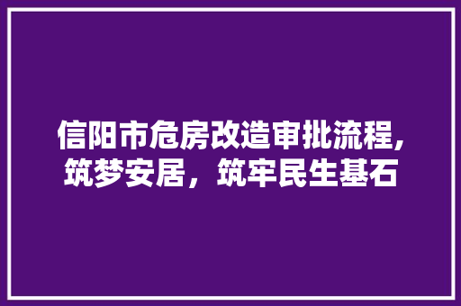信阳市危房改造审批流程,筑梦安居，筑牢民生基石