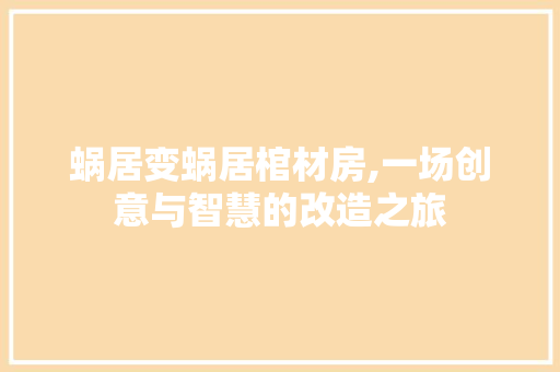 蜗居变蜗居棺材房,一场创意与智慧的改造之旅