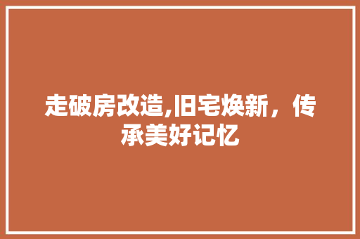 走破房改造,旧宅焕新，传承美好记忆
