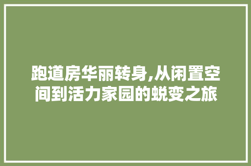 跑道房华丽转身,从闲置空间到活力家园的蜕变之旅