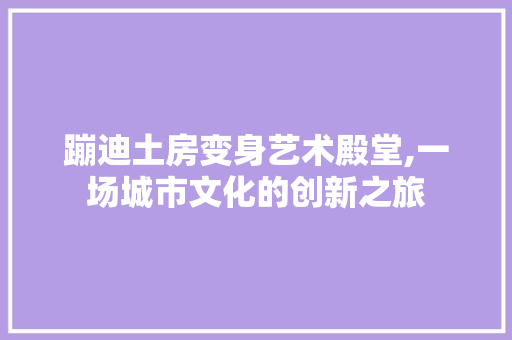 蹦迪土房变身艺术殿堂,一场城市文化的创新之旅