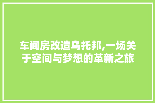 车间房改造乌托邦,一场关于空间与梦想的革新之旅