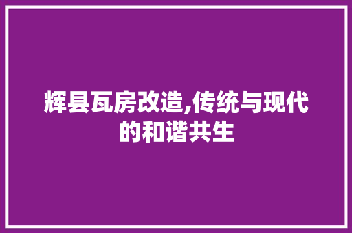 辉县瓦房改造,传统与现代的和谐共生