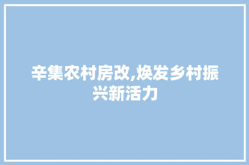 辛集农村房改,焕发乡村振兴新活力