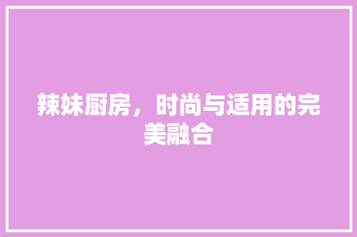 辣妹厨房，时尚与适用的完美融合