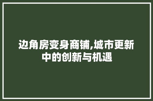 边角房变身商铺,城市更新中的创新与机遇