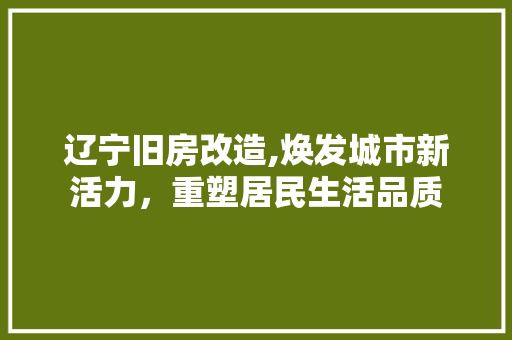 辽宁旧房改造,焕发城市新活力，重塑居民生活品质