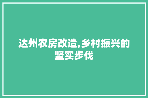 达州农房改造,乡村振兴的坚实步伐