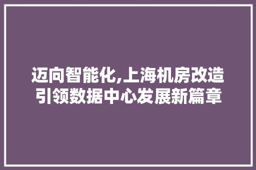 迈向智能化,上海机房改造引领数据中心发展新篇章