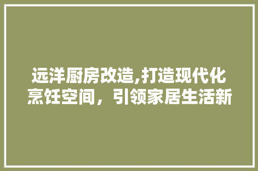 远洋厨房改造,打造现代化烹饪空间，引领家居生活新潮流