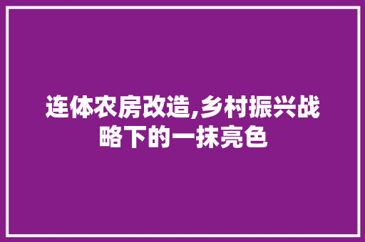 连体农房改造,乡村振兴战略下的一抹亮色
