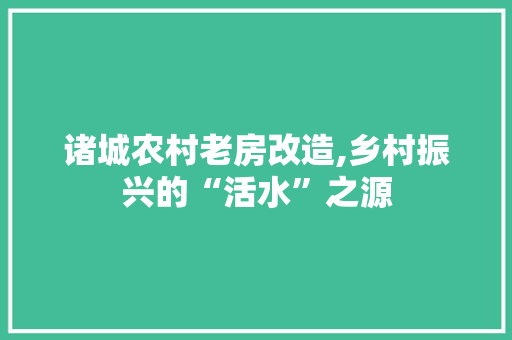 诸城农村老房改造,乡村振兴的“活水”之源