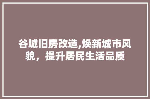 谷城旧房改造,焕新城市风貌，提升居民生活品质