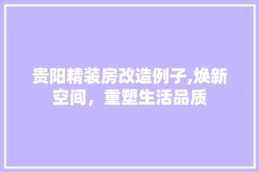 贵阳精装房改造例子,焕新空间，重塑生活品质