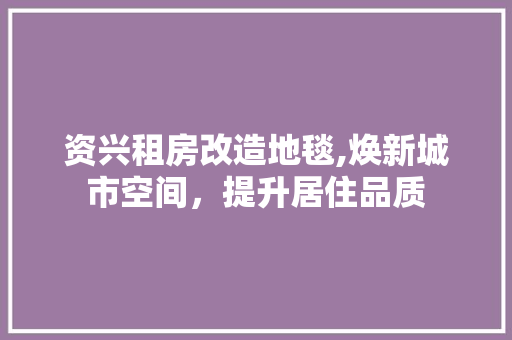 资兴租房改造地毯,焕新城市空间，提升居住品质